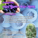 희망나무심기2 이미지