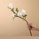 웰뷰파크 이미지