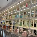 레몬커피(LEMON COFFEE) | [밴쿠버 랍슨 🇨🇦] 마카롱 맛집 라뒤레(Ladurée) 방문 후기