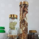 모임방 Daum카페