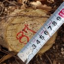 은평-087 이미지