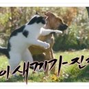꽐라 이미지