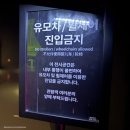 정원자동차정비 | T047. 서버밴, 7살 아이와 가볼만한 곳 제주도 여행 아르떼뮤지엄 제주 미디어파사드 전시