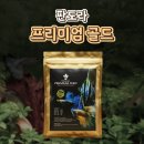 판도라 | 판도라 프리미엄 골드 사료 후기