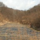 [국도43] 공주시 도신리