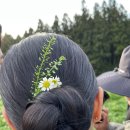 블루밍앨리스헤어# 이미지