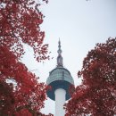 오아이스 이미지