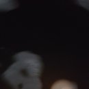 용골농원 이미지