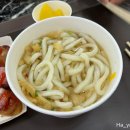 야미스넥