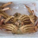 경북대학교 AM센터 이미지