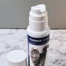 저스트벳 동물병원 | 고양이독감 허피스 칼리시 관리 벳플러스 플루맥스 후기