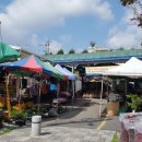 광산-비아-광산-50 이미지