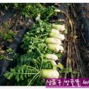 정경농장 이미지