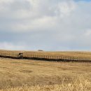 주산목장 이미지