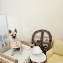 에브리 멍데이 이미지