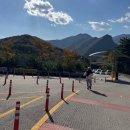 제일사슴농장 이미지