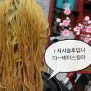 에쉬헤어샾 이미지