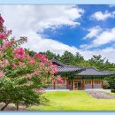 육신사(신) 이미지