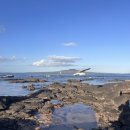 밀포드모텔 이미지