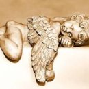 날개생기는꿈 날개달리는꿈 해몽은 무엇? 이미지