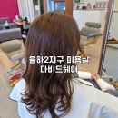 근하헤어
