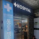 도그스타동물병원 | 수원 호매실동 동몰병원 도그스타동물병원 진료 시간 체크 필수