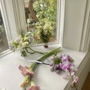 올로르플라워OlorFlower