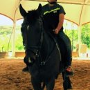 휘명동산약국 이미지