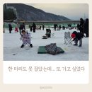 서운우체국 | 화천 산천어축제, 산천어 못 잡아도 즐길 수 있을까?(평일 방문 후기)