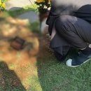 코리아병원 이미지