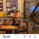 커피그림 - 유성구 반석로12번길 61 | 홍대북카페 추천 그림서재 후기(커피+디저트 포함)