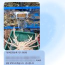 노량진 수산시장 대게 킹크랩 맛집 줄포상회 : 매일 시세표 공개하는 찐맛집 추천