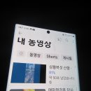 구광터 산행 물리치료후 대박지역 상황버섯 산행.157 이미지