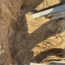 어룡초등학교 이미지