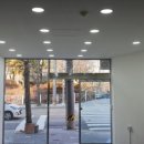 애견멀티샵 이미지