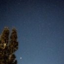 야생화그리기 | 오대산 자연명상마을 옴뷔 스스로를 돌아보는 체험 프로그램