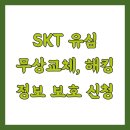 SKT 유심 무상교체, 해킹 정보 보호 신청
