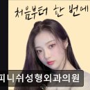 피니쉬성형외과의원 네이버블로그