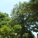 손기정문화체육센터 이미지