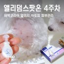 (주)탐케어코리아 | 버박코리아 앨러덤 스팟온 4주차 사용후기, 강아지 피부 변화 기록