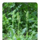 들꽃민박 이미지