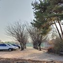 팽성남로 이미지
