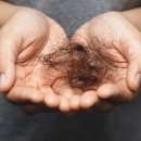 경희수 한방약국 이미지