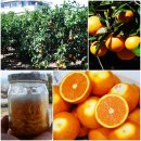 주화농장 이미지