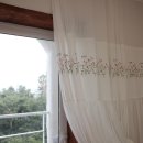 강정2442 꽃피우다 이미지