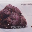 미래기획 연합뉴스