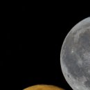 개털깎는집 이미지