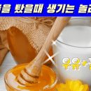 우유에 꿀을 타서 마시면 생기는 놀라운 효능 이미지