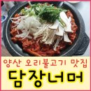 담장너머