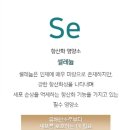 엑스푸드 이미지